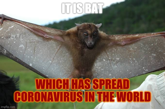Corona bat | IT IS BAT; WHICH HAS SPREAD CORONAVIRUS IN THE WORLD | image tagged in memes,corona virus | made w/ Imgflip meme maker