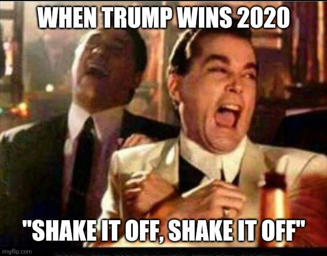 Lol good fellas  | WHEN TRUMP WINS 2020 "SHAKE IT OFF, SHAKE IT OFF" | image tagged in lol good fellas | made w/ Imgflip meme maker