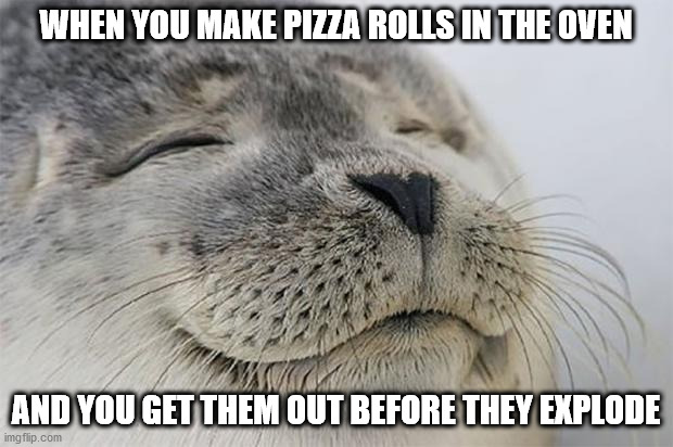 Perfection | WHEN YOU MAKE PIZZA ROLLS IN THE OVEN; AND YOU GET THEM OUT BEFORE THEY EXPLODE | image tagged in memes,satisfied seal,pizza rolls | made w/ Imgflip meme maker