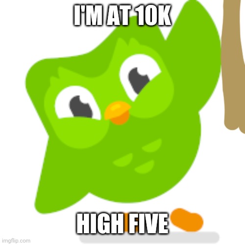 Duolingo bird high five | I'M AT 10K; HIGH FIVE | image tagged in duolingo bird high five,10k,10000 points,make it 20k | made w/ Imgflip meme maker