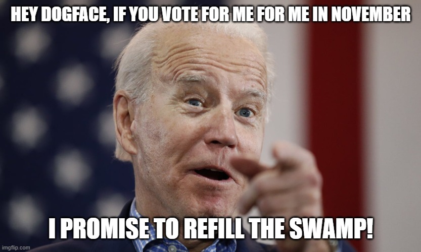 "REFILL THE SWAMP" BIDEN 2020 | HEY DOGFACE, IF YOU VOTE FOR ME FOR ME IN NOVEMBER; I PROMISE TO REFILL THE SWAMP! | image tagged in joe biden,biden gaffe,biden2020,maga2020 | made w/ Imgflip meme maker
