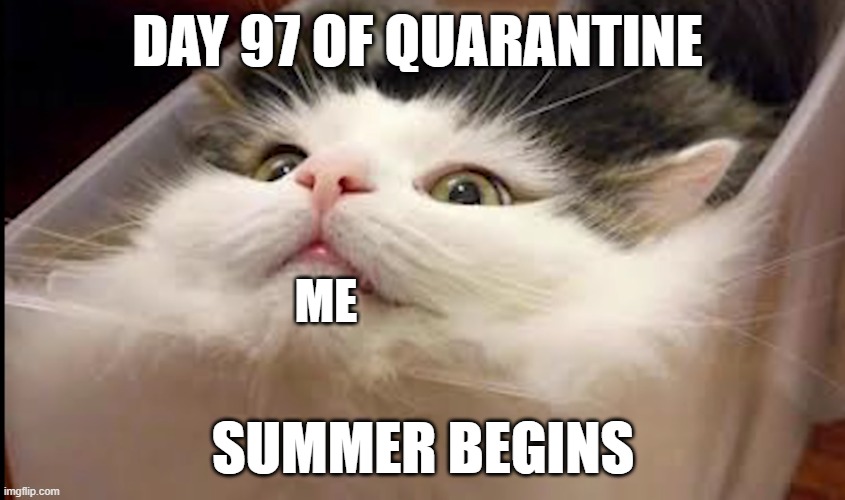 It do be like that | DAY 97 OF QUARANTINE; ME; SUMMER BEGINS | image tagged in melting,quarantine,summer | made w/ Imgflip meme maker