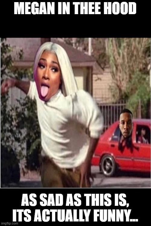 Megan In Thee Hood | MEGAN IN THEE HOOD; AS SAD AS THIS IS, ITS ACTUALLY FUNNY... | image tagged in megan in the hood,hiphop,megan thee stallion,hiphopnews | made w/ Imgflip meme maker