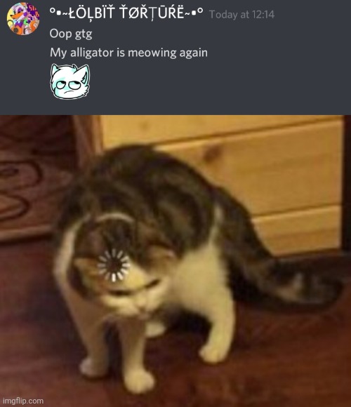 Bruh what | image tagged in loading cat | made w/ Imgflip meme maker