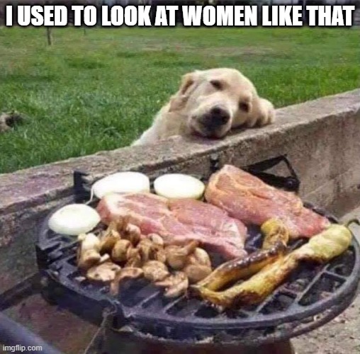 dog | I USED TO LOOK AT WOMEN LIKE THAT | image tagged in dog | made w/ Imgflip meme maker