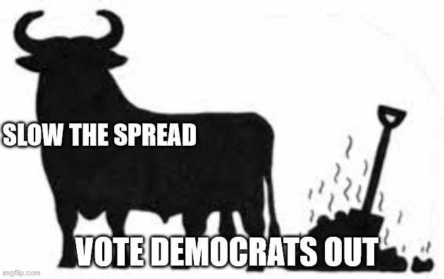Slow the Spread | SLOW THE SPREAD; VOTE DEMOCRATS OUT | image tagged in democrats | made w/ Imgflip meme maker