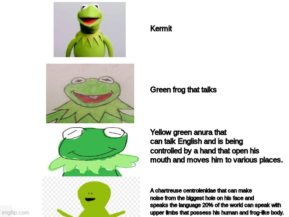 Increasingly Verbose | Kermit; Green frog that talks; Yellow green anura that can talk English and is being controlled by a hand that open his mouth and moves him to various places. A chartreuse centrolenidae that can make noise from the biggest hole on his face and speaks the language 20% of the world can speak with upper limbs that possess his human and frog-like body. | image tagged in increasingly verbose,kermit the frog | made w/ Imgflip meme maker
