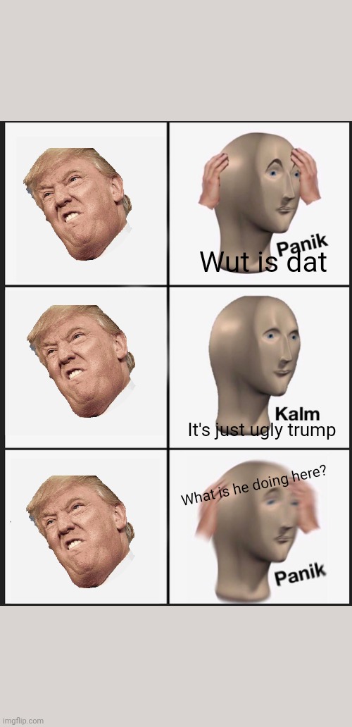 Panik Kalm Panik | Wut is dat; It's just ugly trump; What is he doing here? | image tagged in memes,panik kalm panik | made w/ Imgflip meme maker