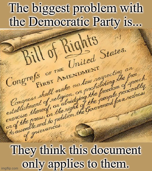 When you boil it down... | The biggest problem with the Democratic Party is... They think this document only applies to them. | image tagged in bill of rights,truth,double standards,democratic double standards,liberal hypocrisy,enough is enough | made w/ Imgflip meme maker