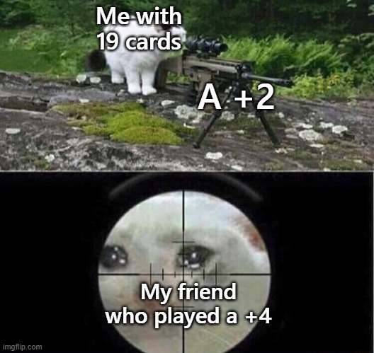 Sniper cat | Me with 19 cards; A +2; My friend who played a +4 | image tagged in sniper cat | made w/ Imgflip meme maker