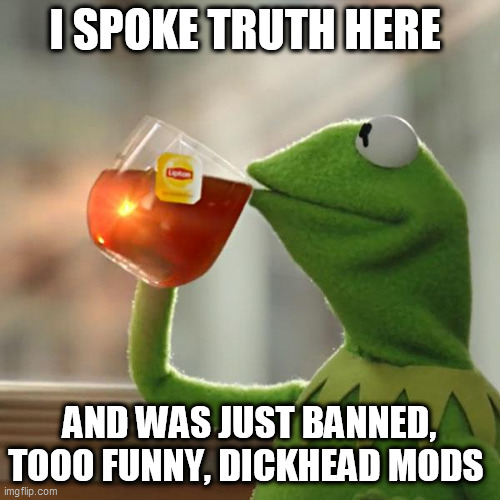 But That's None Of My Business | I SPOKE TRUTH HERE; AND WAS JUST BANNED, TOOO FUNNY, DICKHEAD MODS | image tagged in memes,but that's none of my business,kermit the frog | made w/ Imgflip meme maker