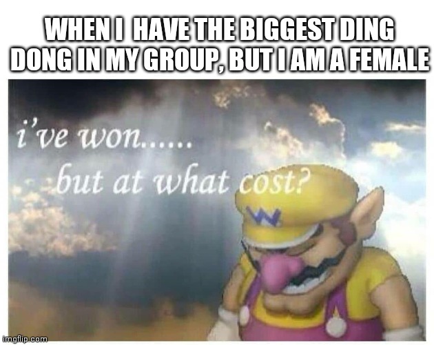 WHEN I  HAVE THE BIGGEST DING DONG IN MY GROUP, BUT I AM A FEMALE | image tagged in women | made w/ Imgflip meme maker