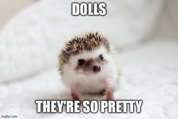 hedgehog  | DOLLS THEY'RE SO PRETTY | image tagged in hedgehog | made w/ Imgflip meme maker