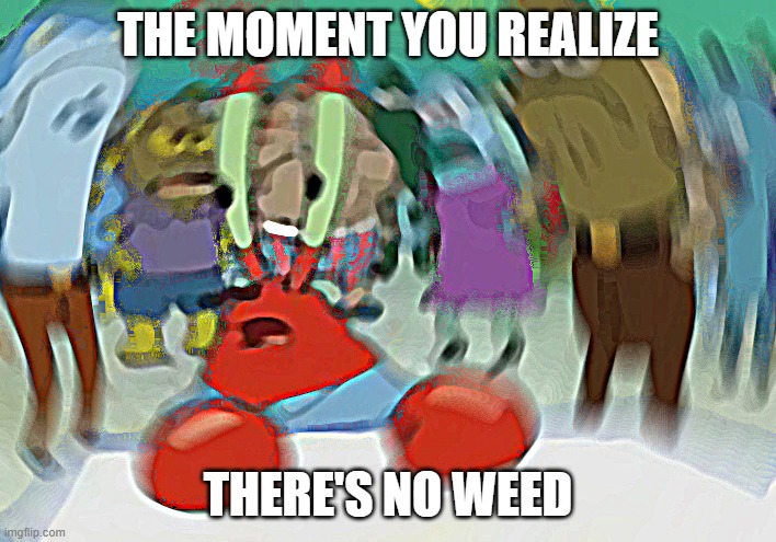 No Weed? | THE MOMENT YOU REALIZE; THERE'S NO WEED | image tagged in memes,mr krabs blur meme | made w/ Imgflip meme maker