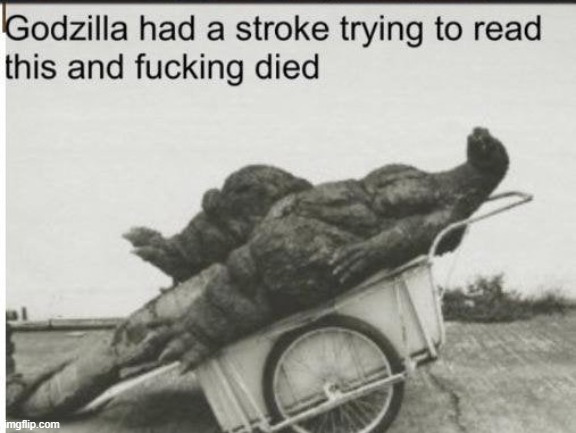 Godzilla had a stroke trying to read this and fucking died Blank Meme Template