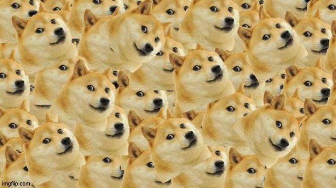 Multi Doge Meme | image tagged in memes,multi doge | made w/ Imgflip meme maker