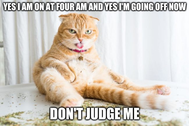 Don't Judge Me | YES I AM ON AT FOUR AM AND YES I'M GOING OFF NOW; DON'T JUDGE ME | image tagged in don't judge me | made w/ Imgflip meme maker