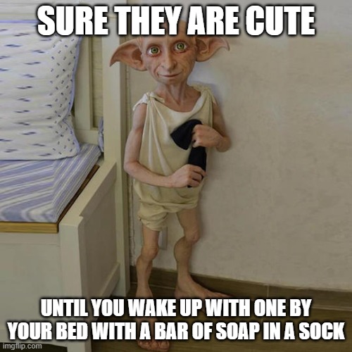 Cute Elf Harry Potter | SURE THEY ARE CUTE; UNTIL YOU WAKE UP WITH ONE BY YOUR BED WITH A BAR OF SOAP IN A SOCK | image tagged in cute,elf,harry potter | made w/ Imgflip meme maker