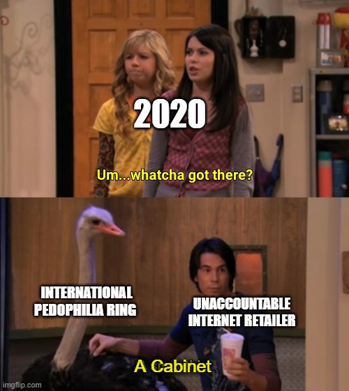 Just a cabinet or a pillow, maybe. | 2020; INTERNATIONAL PEDOPHILIA RING; UNACCOUNTABLE INTERNET RETAILER; A Cabinet | image tagged in whatcha got there | made w/ Imgflip meme maker