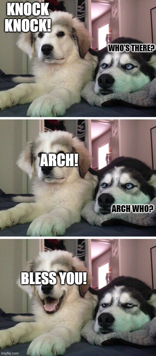 Bad pun dogs | KNOCK KNOCK! WHO'S THERE? ARCH! ARCH WHO? BLESS YOU! | image tagged in bad pun dogs,bad jokes,dog memes,bad pun,funny dog memes,bad puns | made w/ Imgflip meme maker