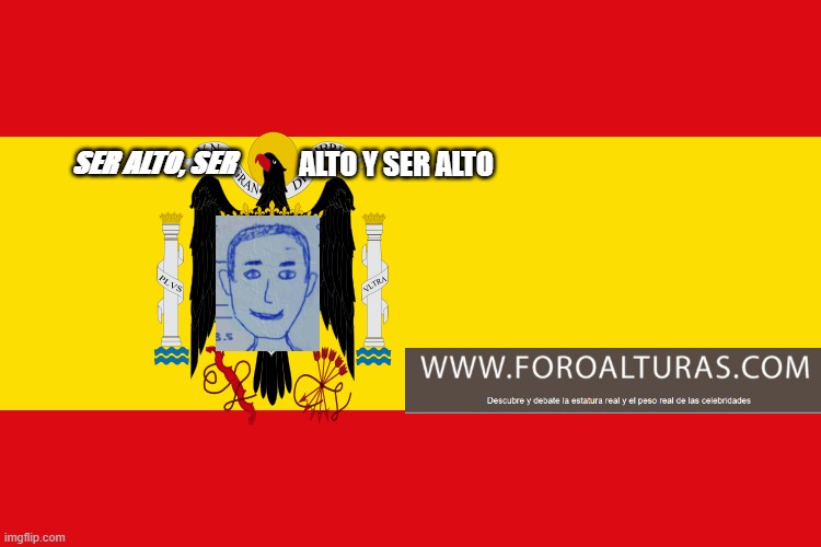Hilo para presentarse a las elecciones generales de Foroalturas 2020 - Página 2 48nled