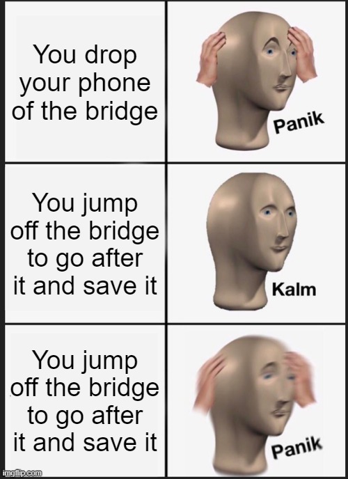 Zoomers be like | You drop your phone of the bridge; You jump off the bridge to go after it and save it; You jump off the bridge to go after it and save it | image tagged in memes,panik kalm panik | made w/ Imgflip meme maker