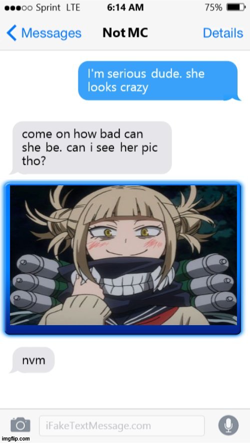 i love this template ok? | image tagged in im serious dude she looks crazy,anime,bnha,mha | made w/ Imgflip meme maker