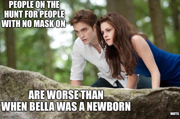 No mask | PEOPLE ON THE HUNT FOR PEOPLE WITH NO MASK ON; ARE WORSE THAN WHEN BELLA WAS A NEWBORN; WATTS | image tagged in masks,twilight,newborn,hunting | made w/ Imgflip meme maker