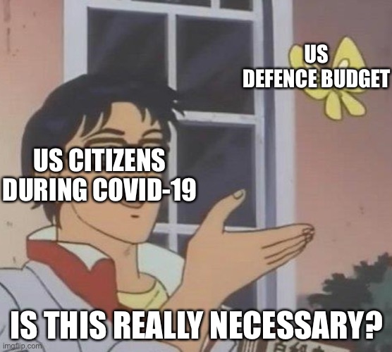 Is This A Pigeon Meme | US DEFENCE BUDGET; US CITIZENS DURING COVID-19; IS THIS REALLY NECESSARY? | image tagged in memes,is this a pigeon | made w/ Imgflip meme maker