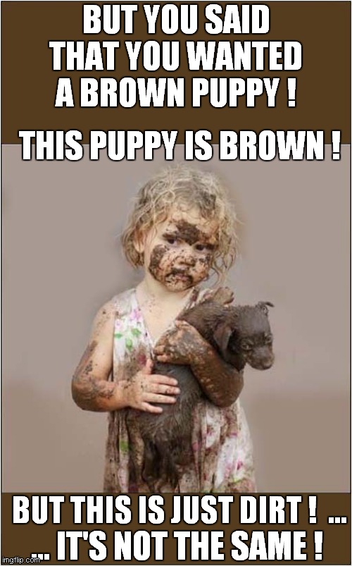 Disappointed Girl With Puppy | BUT YOU SAID THAT YOU WANTED A BROWN PUPPY ! THIS PUPPY IS BROWN ! ... IT'S NOT THE SAME ! BUT THIS IS JUST DIRT !  … | image tagged in fun,puppy,wayne and waynetta | made w/ Imgflip meme maker