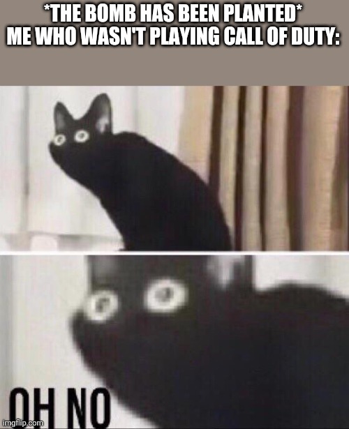 Oh no cat | *THE BOMB HAS BEEN PLANTED*
ME WHO WASN'T PLAYING CALL OF DUTY: | image tagged in oh no cat | made w/ Imgflip meme maker