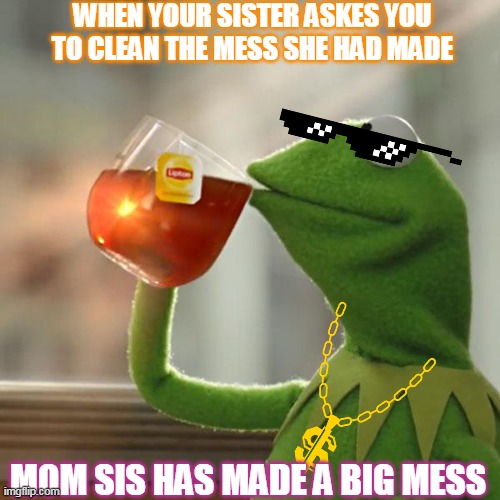 But That's None Of My Business | WHEN YOUR SISTER ASKES YOU TO CLEAN THE MESS SHE HAD MADE; MOM SIS HAS MADE A BIG MESS | image tagged in memes,but that's none of my business,kermit the frog | made w/ Imgflip meme maker