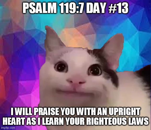 awkward cat | PSALM 119:7 DAY #13; I WILL PRAISE YOU WITH AN UPRIGHT HEART AS I LEARN YOUR RIGHTEOUS LAWS | image tagged in awkward cat | made w/ Imgflip meme maker