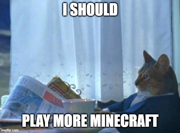 Cat newspaper |  I SHOULD; PLAY MORE MINECRAFT | image tagged in cat newspaper | made w/ Imgflip meme maker
