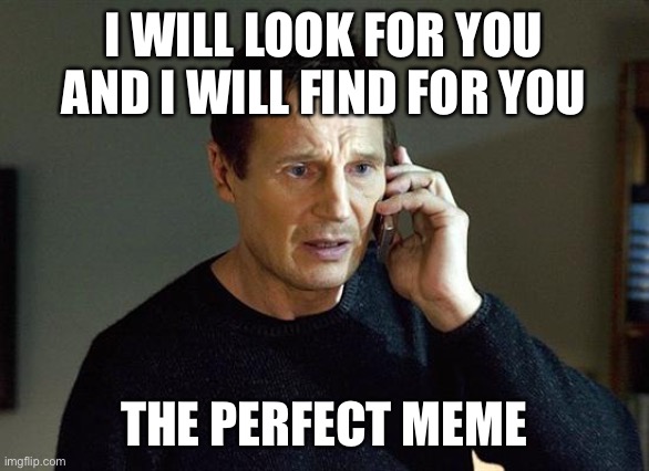 The perfect meme | I WILL LOOK FOR YOU AND I WILL FIND FOR YOU; THE PERFECT MEME | image tagged in memes,liam neeson taken 2 | made w/ Imgflip meme maker