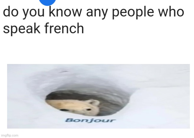 Bonjaur | image tagged in bonjour panda,memes,dank memes,french | made w/ Imgflip meme maker