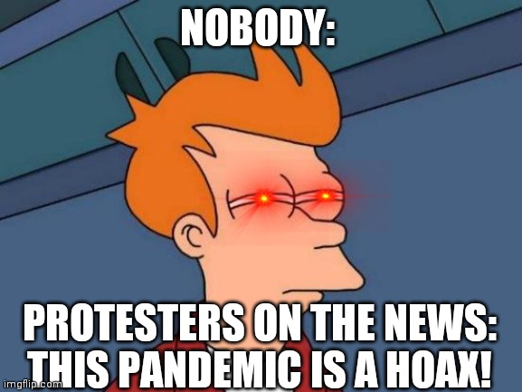 Futurama Fry Meme | NOBODY:; PROTESTERS ON THE NEWS: THIS PANDEMIC IS A HOAX! | image tagged in memes,futurama fry | made w/ Imgflip meme maker