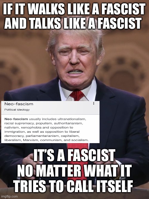 Fascist | IF IT WALKS LIKE A FASCIST AND TALKS LIKE A FASCIST; IT’S A FASCIST NO MATTER WHAT IT TRIES TO CALL ITSELF | image tagged in donald trump,fascist,maga | made w/ Imgflip meme maker