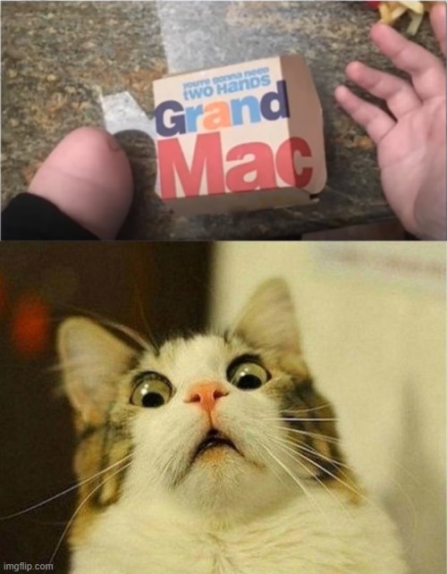 You're gonna need two hands | image tagged in memes,scared cat,funny,mcdonalds,hands | made w/ Imgflip meme maker