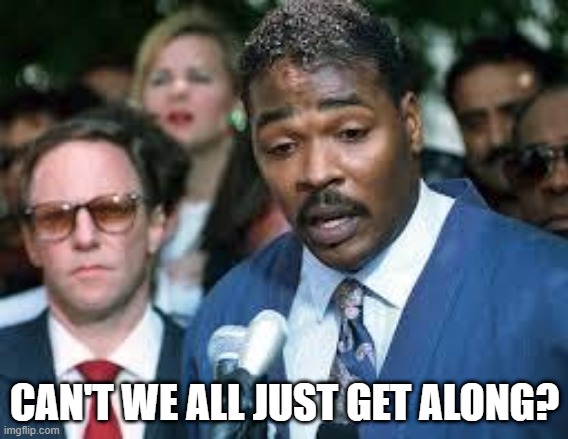 Think This Guy Said it Best | CAN'T WE ALL JUST GET ALONG? | image tagged in rodney king | made w/ Imgflip meme maker