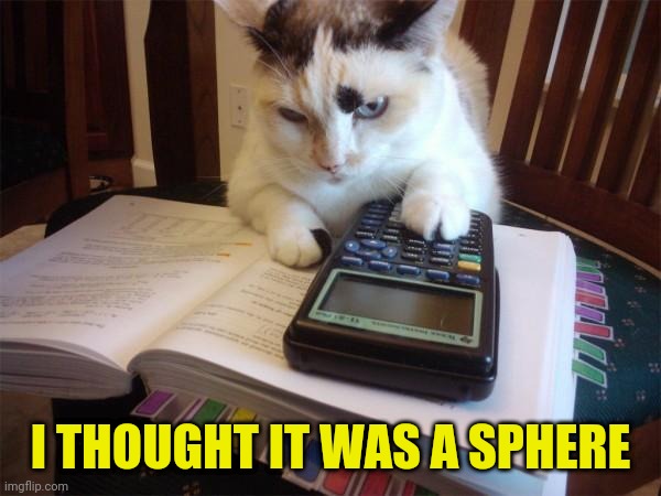 Math cat | I THOUGHT IT WAS A SPHERE | image tagged in math cat | made w/ Imgflip meme maker