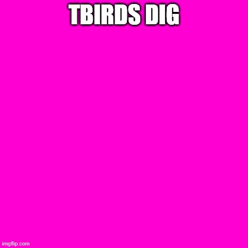 Blank Hot Pink Background | TBIRDS DIG | image tagged in blank hot pink background | made w/ Imgflip meme maker