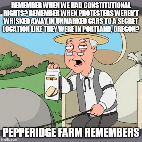 Pepperidge Farm Remembers | REMEMBER WHEN WE HAD CONSTITUTIONAL RIGHTS? REMEMBER WHEN PROTESTERS WEREN'T WHISKED AWAY IN UNMARKED CARS TO A SECRET LOCATION LIKE THEY WERE IN PORTLAND, OREGON? PEPPERIDGE FARM REMEMBERS | image tagged in memes,pepperidge farm remembers | made w/ Imgflip meme maker