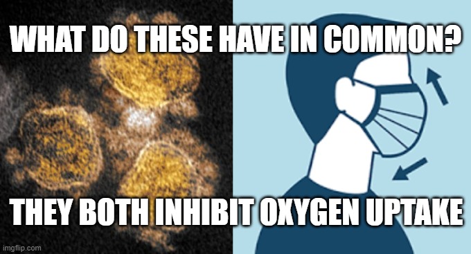 covid 19  oxygen | WHAT DO THESE HAVE IN COMMON? THEY BOTH INHIBIT OXYGEN UPTAKE | image tagged in covid,covid-19,coronavirus,meme,face mask,oxygen | made w/ Imgflip meme maker