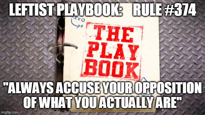 LEFTIST PLAYBOOK:    RULE #374 "ALWAYS ACCUSE YOUR OPPOSITION OF WHAT YOU ACTUALLY ARE" | made w/ Imgflip meme maker