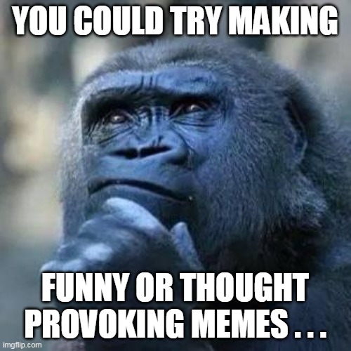 Thinking ape | YOU COULD TRY MAKING FUNNY OR THOUGHT PROVOKING MEMES . . . | image tagged in thinking ape | made w/ Imgflip meme maker