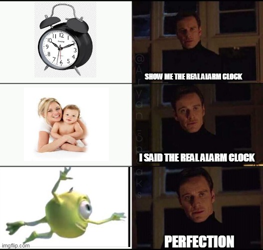 The True Alarm Clock | SHOW ME THE REAL ALARM CLOCK; I SAID THE REAL ALARM CLOCK; PERFECTION | image tagged in i prefer the x | made w/ Imgflip meme maker