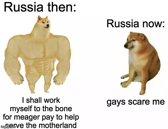 its true tho.... | Russia then:; Russia now:; I shall work myself to the bone for meager pay to help serve the motherland; gays scare me | image tagged in buff doge vs cheems,russia | made w/ Imgflip meme maker