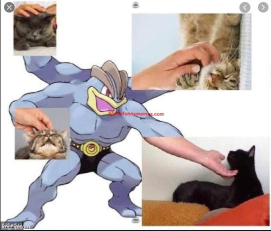 We must use it for this purpose | WHAT ARE WE DOING EITH OUR LIVES; LET US ALL USE OUR MACHOPS FOR THIS PURPOSE | image tagged in cats,pokemon | made w/ Imgflip meme maker