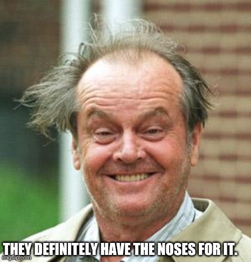 Jack Nicholson Crazy Hair | THEY DEFINITELY HAVE THE NOSES FOR IT. | image tagged in jack nicholson crazy hair | made w/ Imgflip meme maker